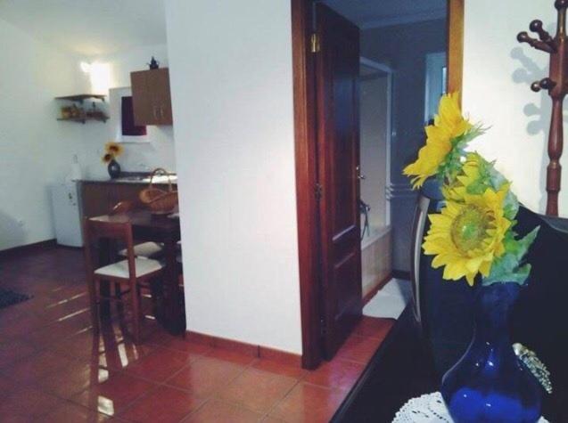 Casa Boavista Villa ปาเรเจส เจ โครา ภายนอก รูปภาพ