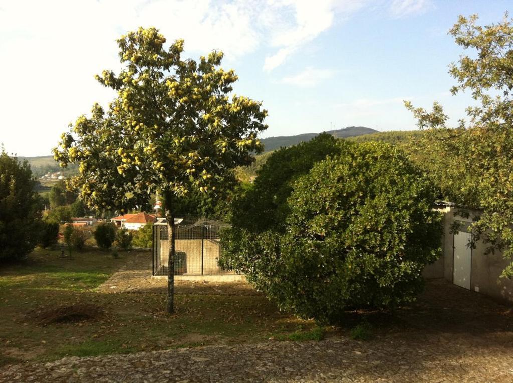 Casa Boavista Villa ปาเรเจส เจ โครา ภายนอก รูปภาพ
